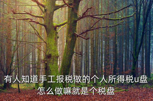 繳個(gè)稅用什么盤(pán)申報(bào)，個(gè)人所得稅報(bào)盤(pán)怎么弄