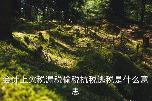 欠繳稅額是什么意思，增值稅申報(bào)表第26欄實(shí)收出口開具專用繳款書退稅額指的是什么