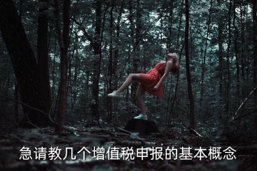 增值稅申報(bào)是什么意思，增值稅申報(bào)什么意思