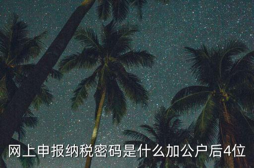 網(wǎng)上如何申報(bào)國(guó)稅密碼是什么，國(guó)稅第一次網(wǎng)上申報(bào)的登陸密碼是什么