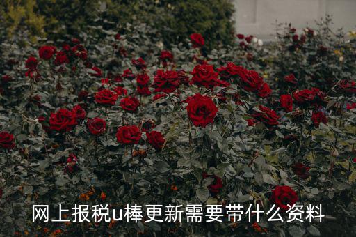 稅務(wù)u棒長什么樣，網(wǎng)上報稅u棒更新需要帶什么資料