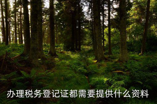 辦理稅務(wù)登記需要什么資料，辦理稅務(wù)登記證都需要提供什么資料