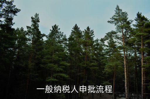 申稅需要什么手續(xù)，個(gè)體工商戶稅收 要辦理什么手續(xù)