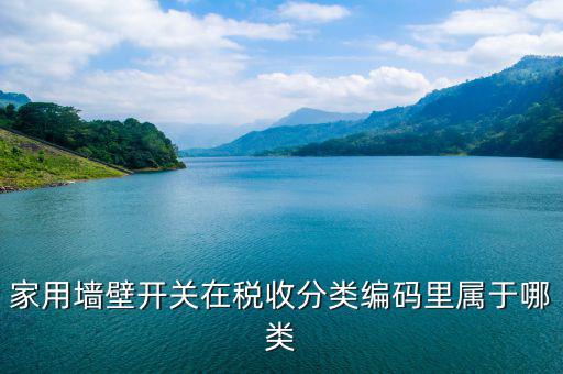 稅收分類編碼是什么意思，汽車導(dǎo)航儀稅收分類編碼是什么