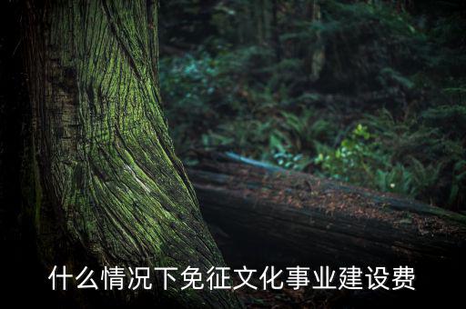 什么叫文化建設(shè)費(fèi)，文化建設(shè)事業(yè)費(fèi)
