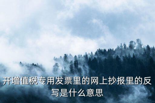 開票系統(tǒng)反寫是什么意思，開增值稅專用發(fā)票里的網(wǎng)上抄報里的反寫是什么意思