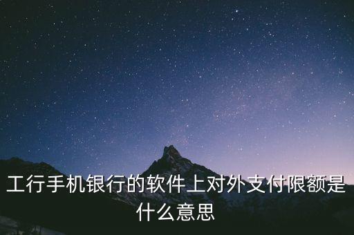 對外支付什么意思，工商銀行支出對外什么意思
