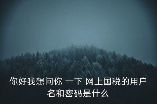 你好我想問你 一下 網(wǎng)上國(guó)稅的用戶名和密碼是什么