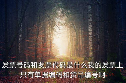 發(fā)票代碼指什么地方，增值稅普通發(fā)票的12位發(fā)票代碼在什么位置
