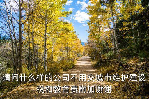 什么情況不交城建稅，什么時候不需要交納營業(yè)稅城建稅及附加