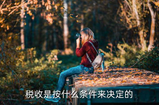 什么條件才可以收稅，工廠滿足什么條件國家才可以收稅