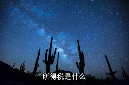 什么是額外所得稅，所得稅是什么