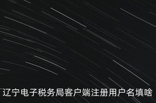 網(wǎng)上辦稅帳號是什么，登錄國稅網(wǎng)上辦稅服務(wù)廳的用戶名和密碼是什么