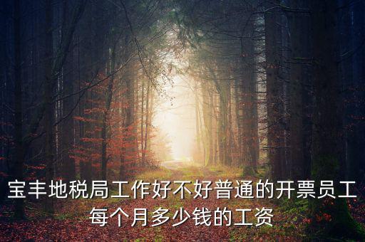 寶豐國(guó)稅局局長(zhǎng)叫什么，寶豐三分局移動(dòng)營(yíng)業(yè)廳地址在哪里