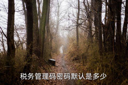 湖北國稅盤原始密碼是什么意思，湖北地稅網(wǎng)絡(luò)發(fā)票登陸密碼是什么急急急