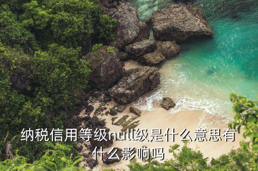 納稅信用等級是什么，納稅信用等級null級是什么意思有什么影響嗎