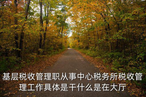 稅源管理干什么，基層稅收管理職從事中心稅務(wù)所稅收管理工作具體是干什么是在大廳