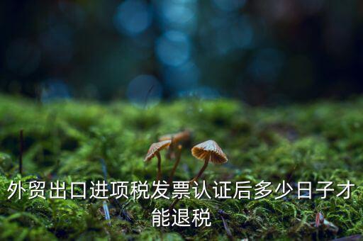 什么時(shí)候可以退稅，退稅是按進(jìn)項(xiàng)發(fā)票認(rèn)證的時(shí)間來(lái)退稅的