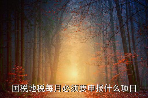 國稅月初申報什么，國稅地稅每月必須要申報什么項目