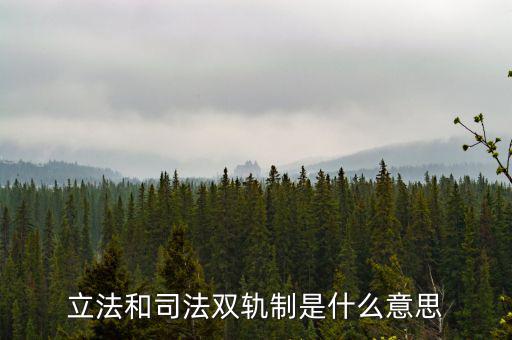 雙軌運行什么意思，雙軌運行解數(shù)字