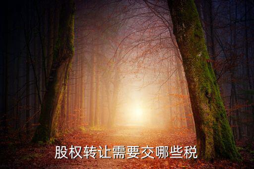 股權(quán)轉(zhuǎn)讓需要繳納什么稅，股權(quán)轉(zhuǎn)讓要交什么稅