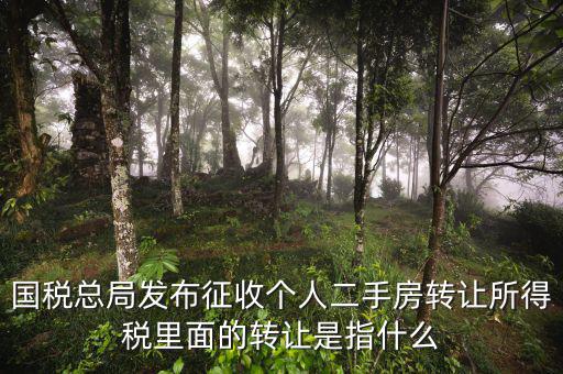 稅收轉(zhuǎn)讓是什么，國稅總局發(fā)布征收個人二手房轉(zhuǎn)讓所得稅里面的轉(zhuǎn)讓是指什么