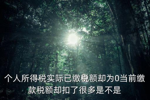 實(shí)繳稅額為什么是0，當(dāng)期的實(shí)交增值稅額為0是否進(jìn)行城建稅的申報(bào)什么意思可以不用申報(bào)