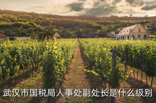 國稅局所長是什么職位，杞縣國稅局于鎮(zhèn)分局所長