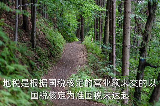 地稅定稅是根據什么定的，問題國稅和地稅的定稅依據是什么