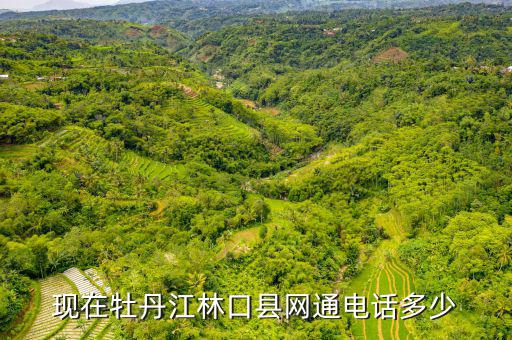 林口縣稅務(wù)局電話號碼是什么，現(xiàn)在牡丹江林口縣網(wǎng)通電話多少