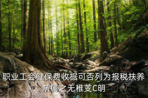 職業(yè)工會(huì)健保費(fèi)收據(jù)可否列為報(bào)稅扶養(yǎng)親屬之無(wú)稚芰C明