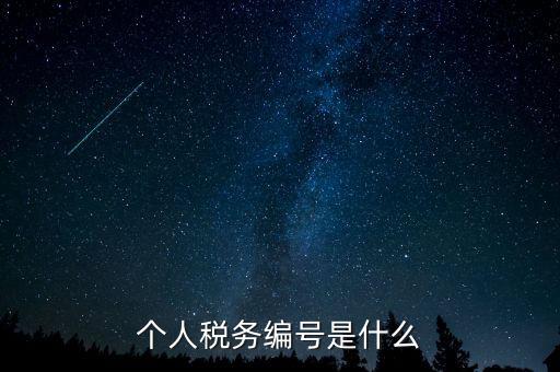 個(gè)人的稅收編號(hào)是什么，個(gè)人所得稅里面的注冊(cè)編碼是什么
