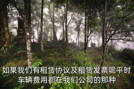 如果我們有租賃協(xié)議及租賃發(fā)票呢平時(shí)車輛費(fèi)用都在我們公司的那種