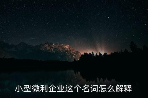 微利成公司是什么意思，小型微利企業(yè)這個(gè)名詞怎么解釋