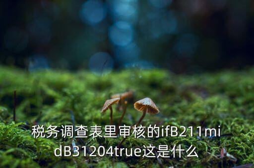 國稅調(diào)查表有什么意義，國稅要求地址普查的目的是什么