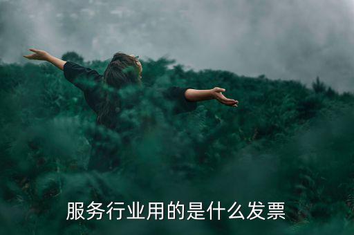 服務(wù)業(yè)發(fā)票是什么發(fā)票，服務(wù)發(fā)票是不是普通發(fā)票的一種