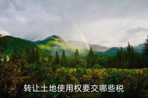轉(zhuǎn)讓土地使用權(quán)要交什么稅，轉(zhuǎn)讓土地使用權(quán)要交哪些稅