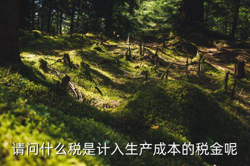 什么稅計入成本，請問什么稅是計入生產(chǎn)成本的稅金呢