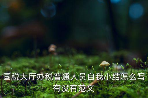 國稅大廳辦稅普通人員自我小結怎么寫有沒有范文