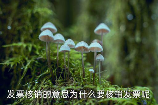 為什么要發(fā)票核銷，發(fā)票核銷的意思為什么要核銷發(fā)票呢