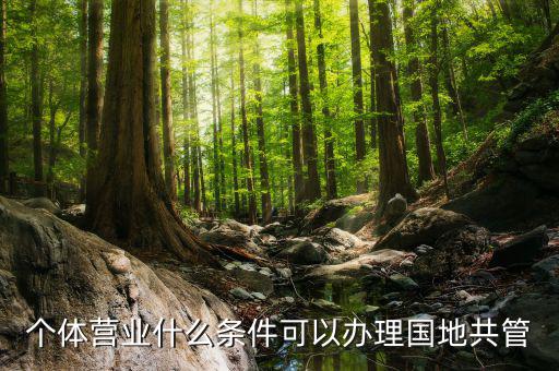 國(guó)地管戶類型是什么，國(guó)稅地稅共管戶
