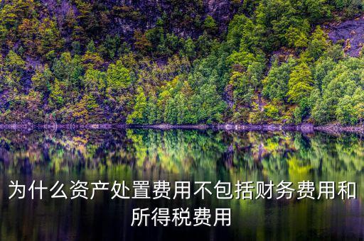 籌資費用為什么不考慮所得稅，為什么資產處置費用不包括財務費用和所得稅費用