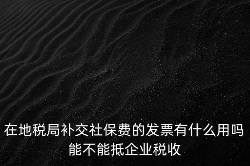 什么稅票能抵消社保費(fèi)用，輪渡費(fèi)后面有一張保險發(fā)票是可以抵扣的