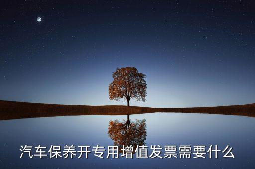 保險開專票需要什么，開增值票項目只開總一項行嗎保險公司要求開專票說要么按實際