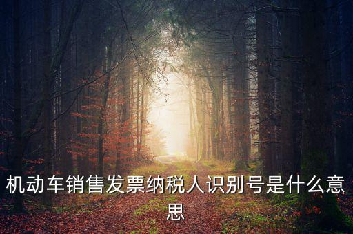 機(jī)動(dòng)車(chē)銷(xiāo)售發(fā)票納稅人識(shí)別號(hào)是什么意思
