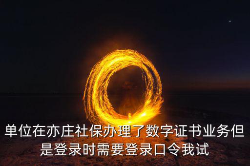 數(shù)字證書口令是什么，數(shù)字證書與口令卡是一回事嗎