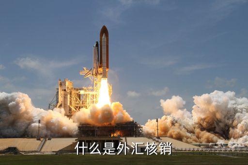 什么是外匯核銷(xiāo)