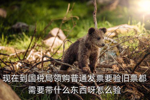 發(fā)票驗舊都需要帶什么，現(xiàn)在到國稅局領(lǐng)購普通發(fā)票要驗舊票都需要帶什么東西呀怎么驗