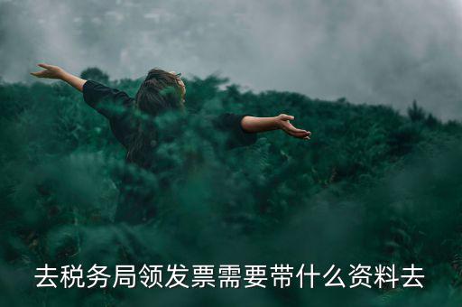 領(lǐng)電子發(fā)票需要帶什么資料，去稅務(wù)局領(lǐng)發(fā)票需要帶什么資料去