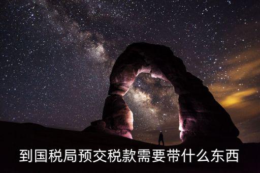 預(yù)繳稅金需要什么資料，到國(guó)稅局預(yù)交稅款需要帶什么東西